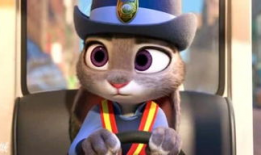 娱乐朱迪吃瓜,娱乐圈幕后大揭秘