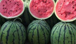 吃瓜网官方网站在线看,揭秘娱乐圈幕后故事