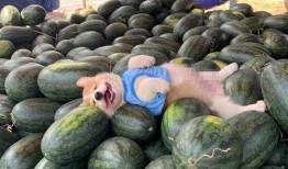 今天吃瓜,盘点娱乐圈新鲜事